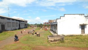 edificio-da-central-electrica-deixado-a-merce-de-animais