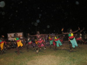 grupo-ballet-nacional-durante-abertura-do-festival-de-cacheu