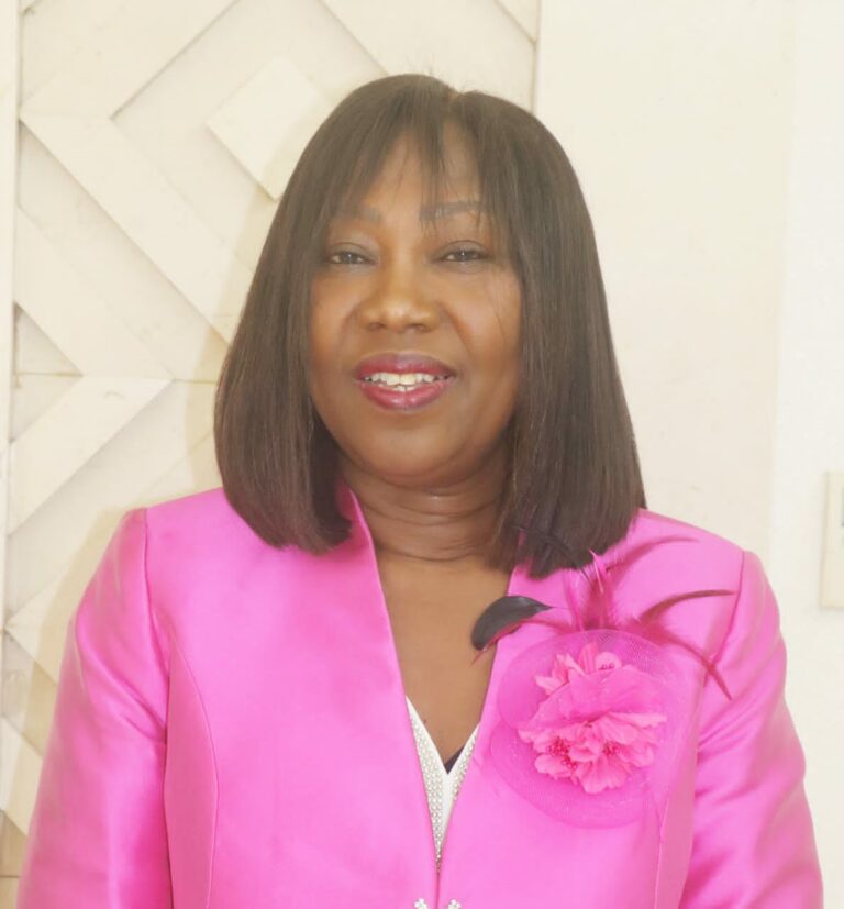 QUEM SÃO OS INTEGRANTES DO GOVERNO DE INICIATIVA PRESIDENCIAL DIRIGIDO